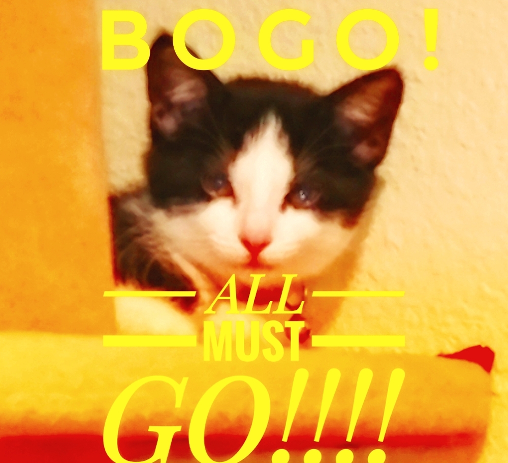 BOGO!!!! CLOSET WIDE! NO EXCLUSIONS!